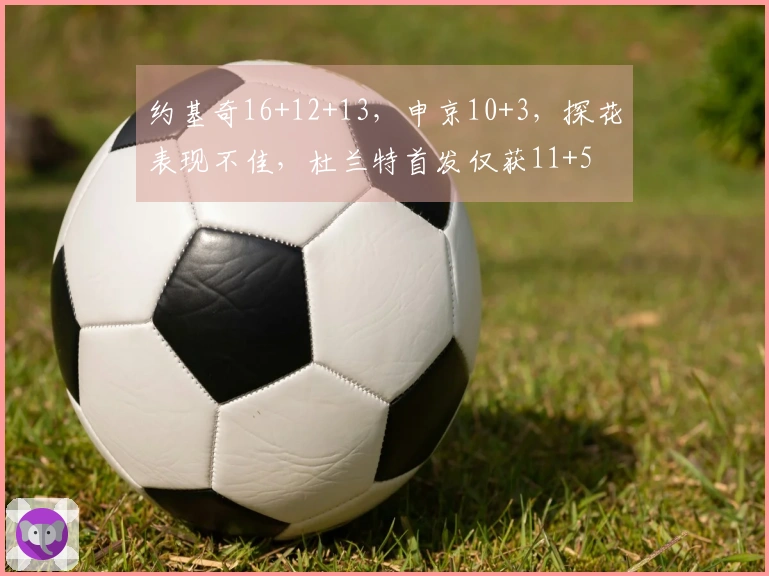 约基奇16+12+13，申京10+3，探花表现不佳，杜兰特首发仅获11+5