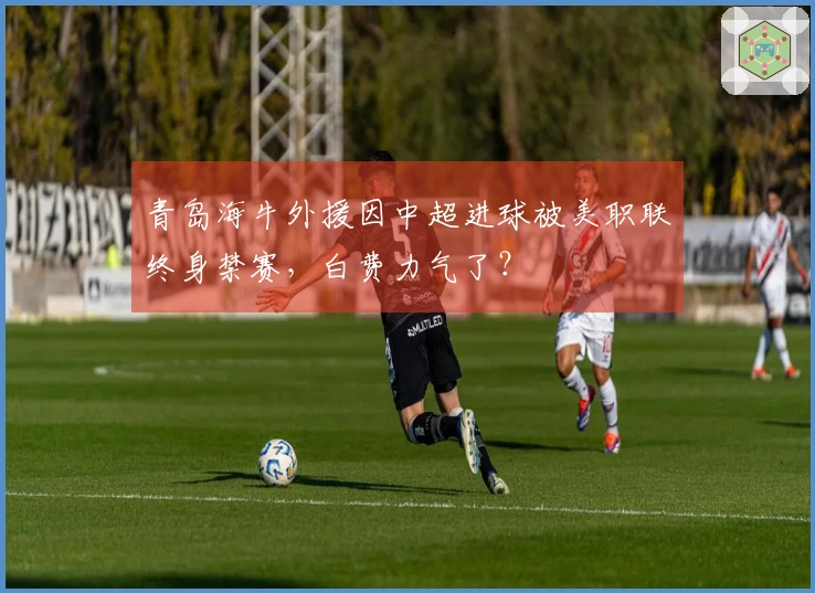 青岛海牛外援因中超进球被美职联终身禁赛，白费力气了？