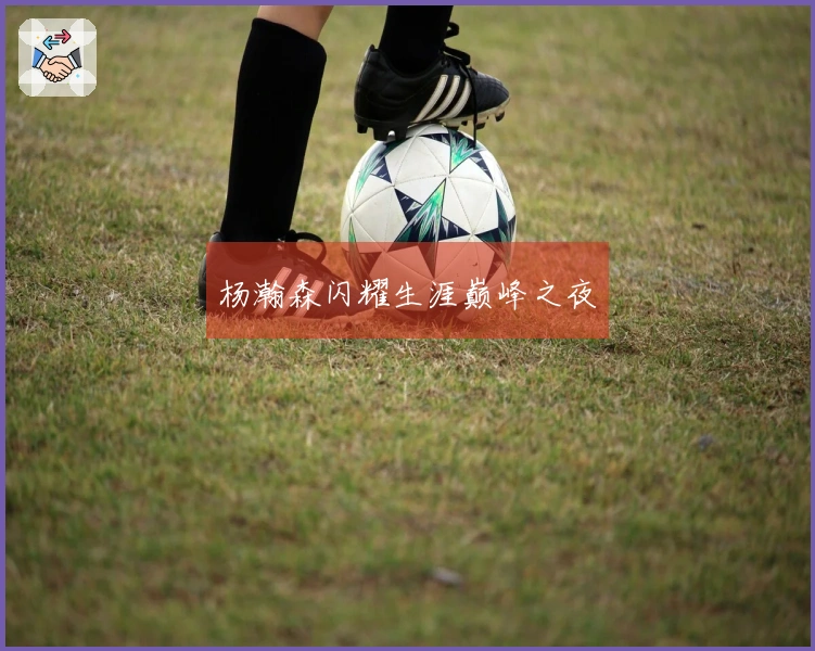 杨瀚森闪耀生涯巅峰之夜