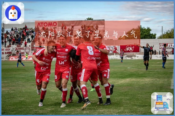 沈阳队汇聚了星光与人气