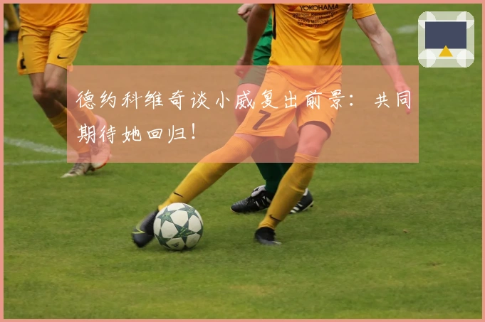 德约科维奇谈小威复出前景：共同期待她回归！